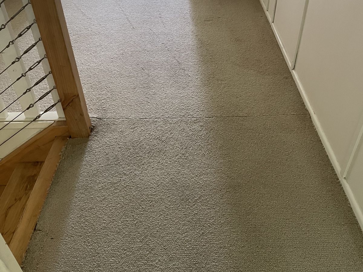 Urine Treatment for Carpets and Upholstery