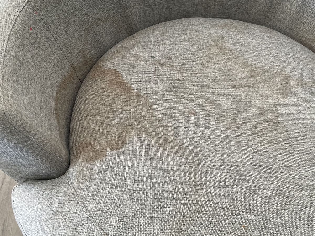 Lounge Cleaning for Various Upholstery Fabrics