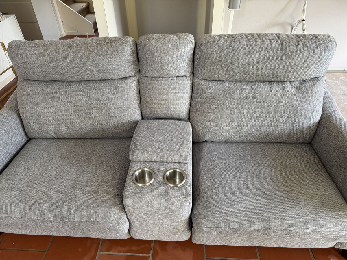 Managing Flea Infestation in Your Sofa Before Pest Control