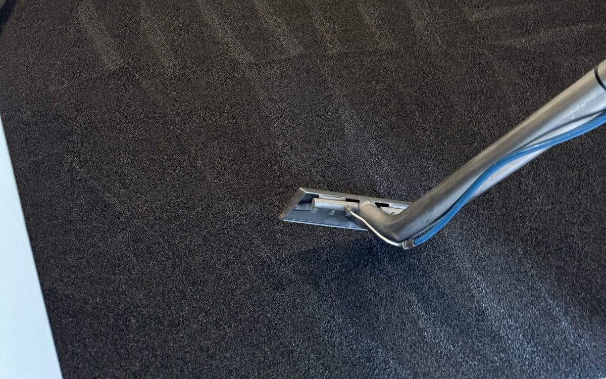 Can Carpet Cleaning Help with Allergies?