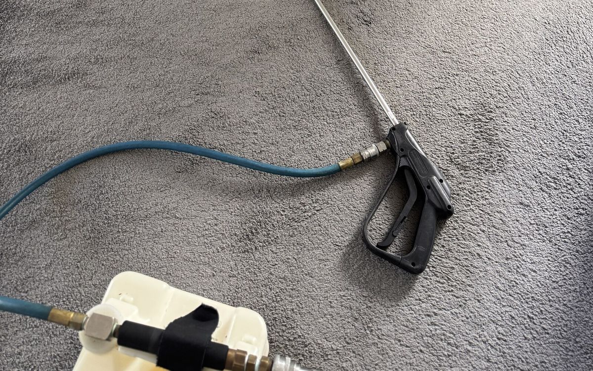 What Carpet Stains Reveal About Hidden Pests in Your Home