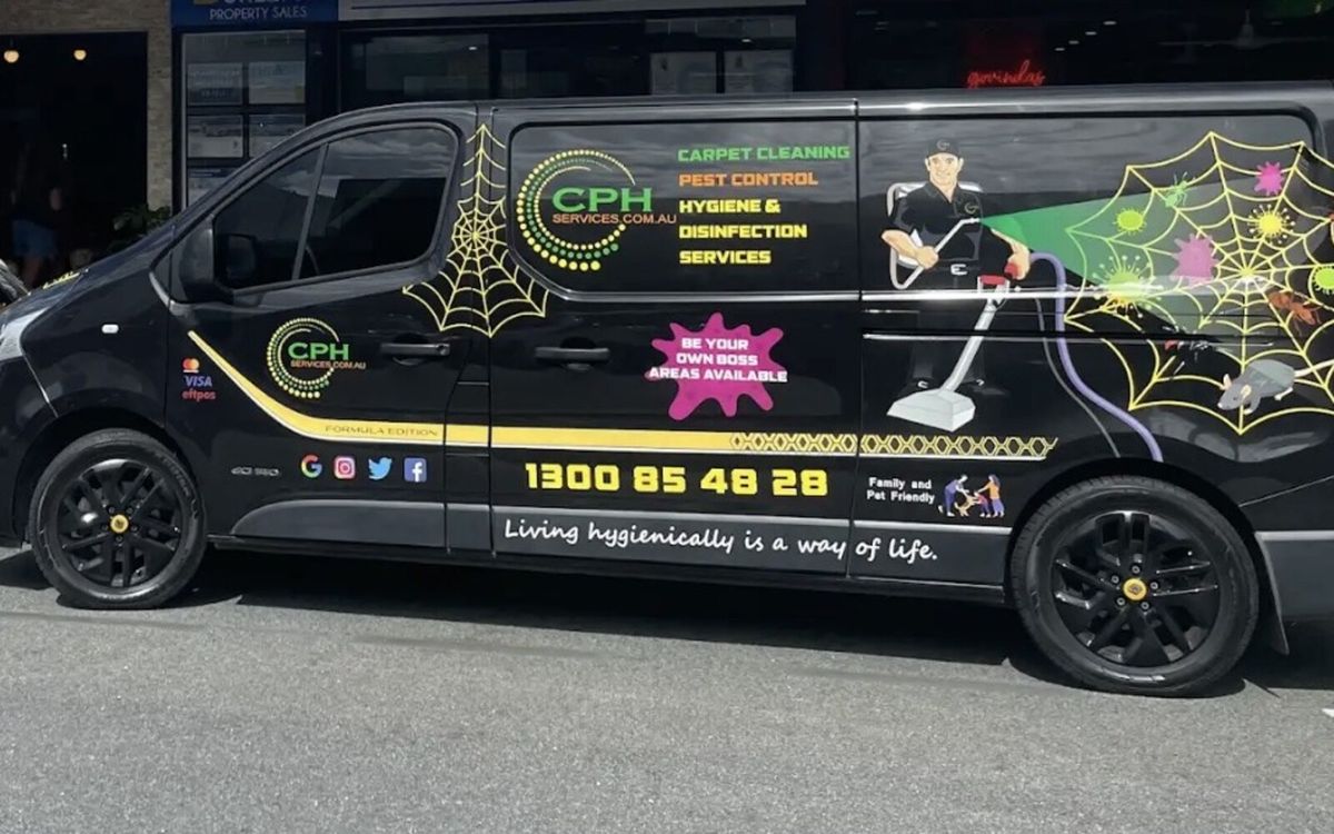 Carpet Pests vs. Mould vs. Dirt: Gold Coast Signs and Service Guide