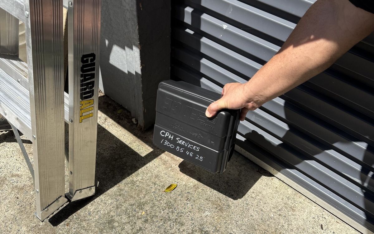Understanding Rodent Behavior for Effective Pest Control