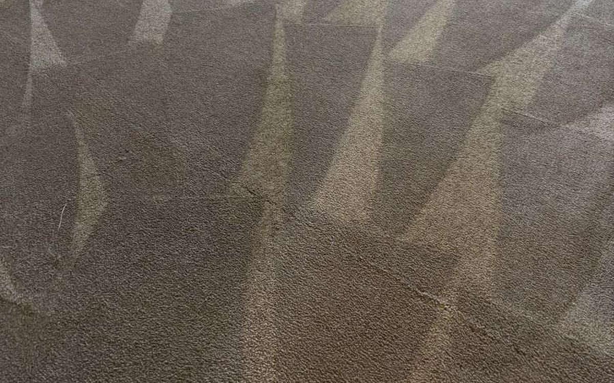 DIY Carpet Cleaning vs Professional Truck Mount: What's the Real Difference?
