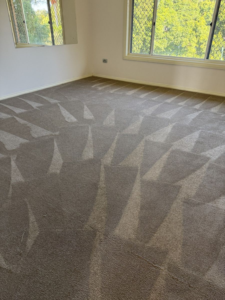 carpet cleaning Coolangatta CPH Services Gold Coast