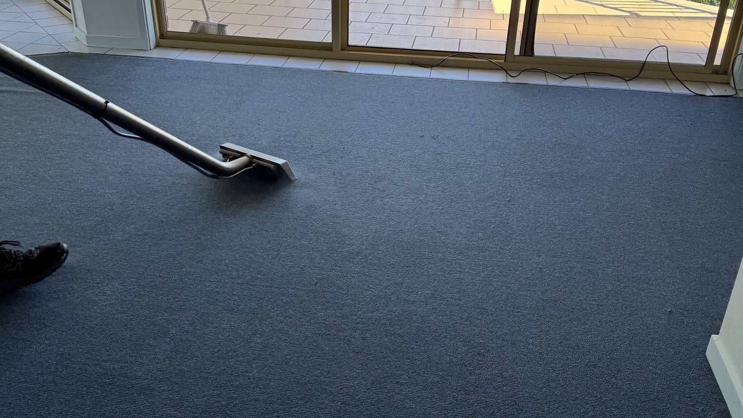 How Hypoallergenic Carpet Cleaning Benefits Small Children