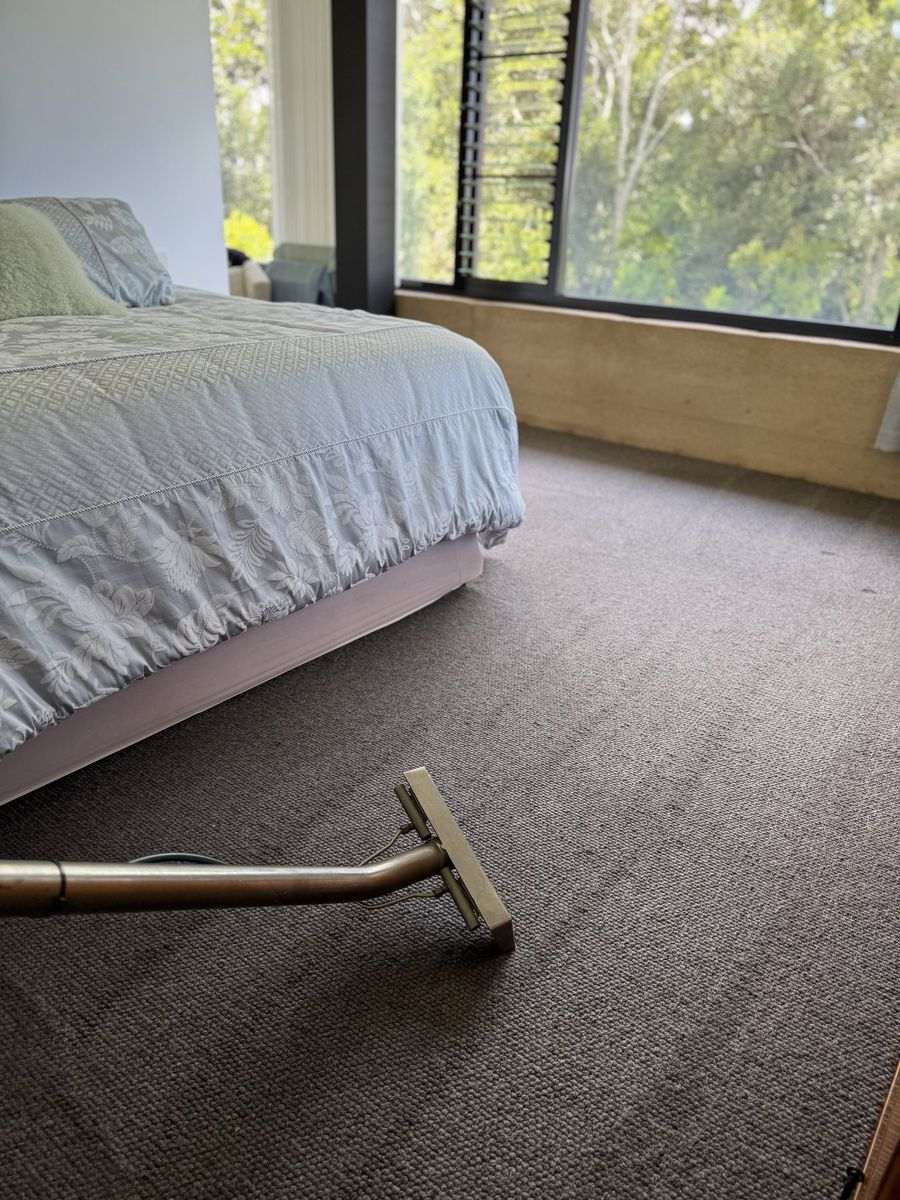 carpet cleaning Gold Coast CPH Services Gold Coast