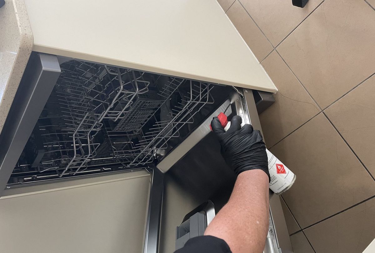 Pest Control for Gold Coast Commercial Establishments: What's Required