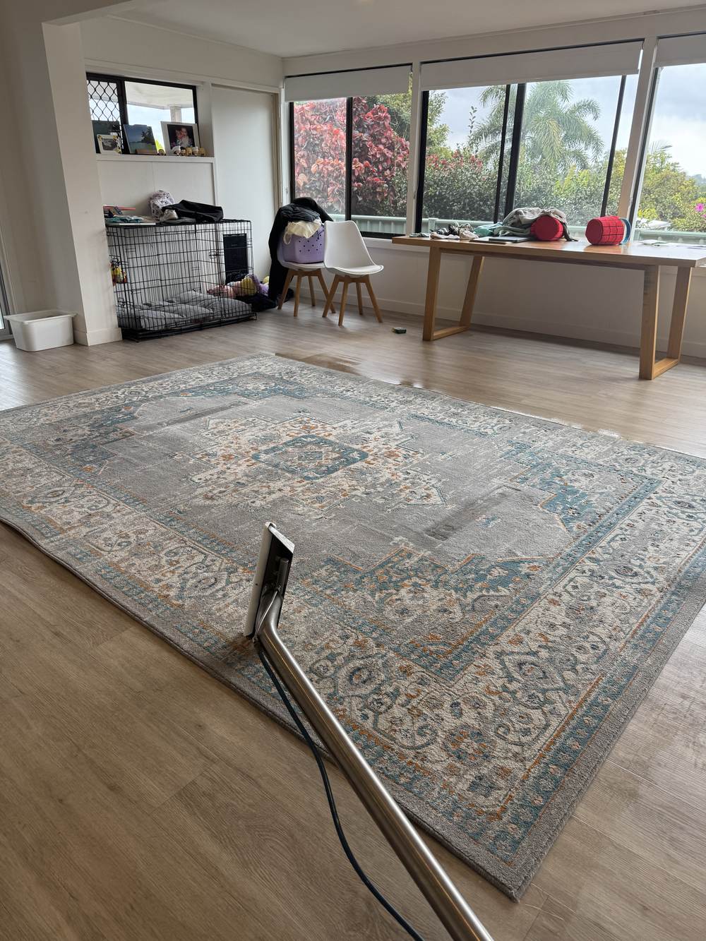 rug cleaning Currumbin CPH Services Gold Coast